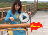 y(tng)衶^(gu)L(fng)