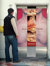 ԭV@