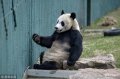 201855ꖡ3ĕr(sh)g˂һֱҕ顰Ä(dng)Ɖ(qing)Q顰wŮȻSuL挍(sh)Ԅel(f)D(zhun)
